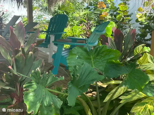 Se détendre parmi les plantes tropicales